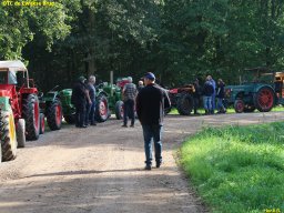 ws 187